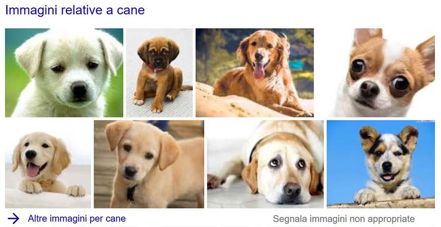 google immagini su serp