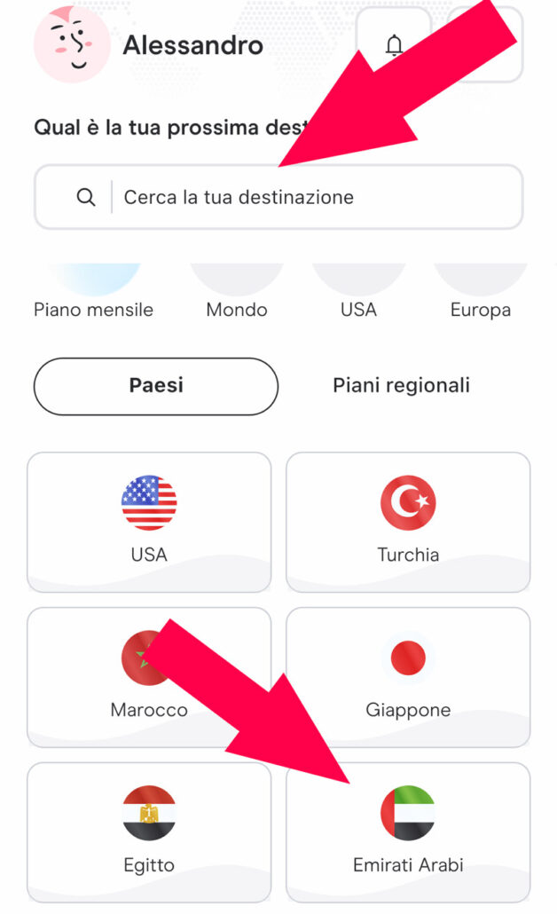 paese emirati arabi dubai internet holafly esim