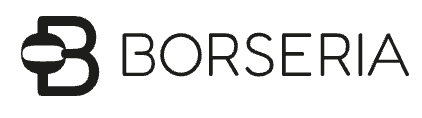 borseria app investimenti logo ufficiale borseria app investimenti logo ufficiale